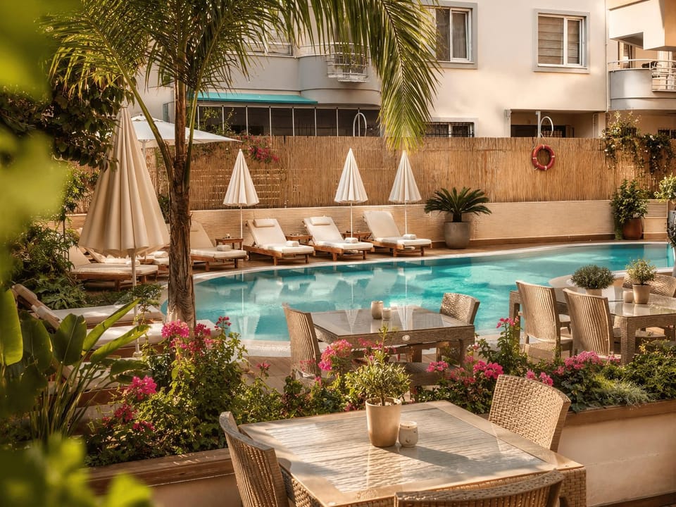 Property building, Patio, Day, Garden, Garden, Garden view, Pool view, Swimming pool, Swimming pool, sunbed