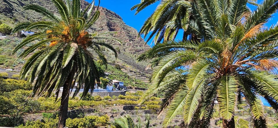 Natural landscape