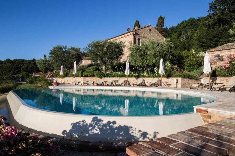 Garden, Garden view, Pool view, Swimming pool, sunbed