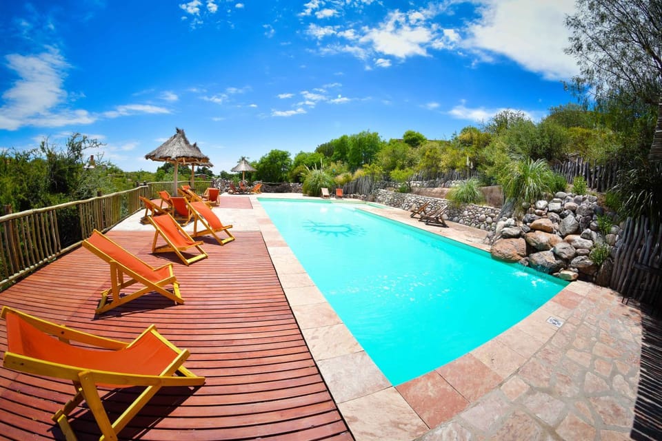 Swimming pool, Swimming pool