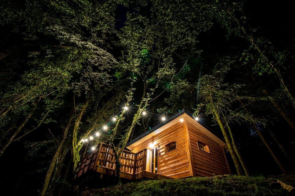 Patio, Night, Natural landscape, Garden, Garden view