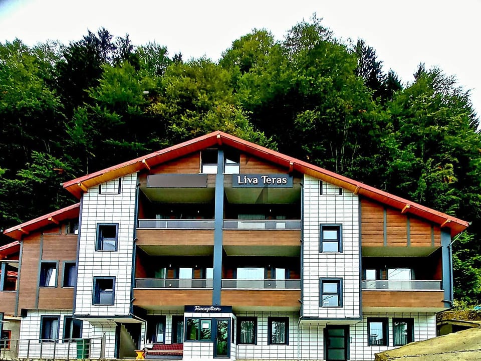 Property building, Natural landscape