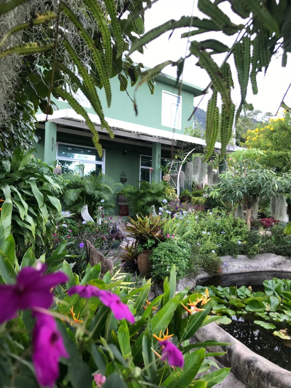 Garden, Garden view