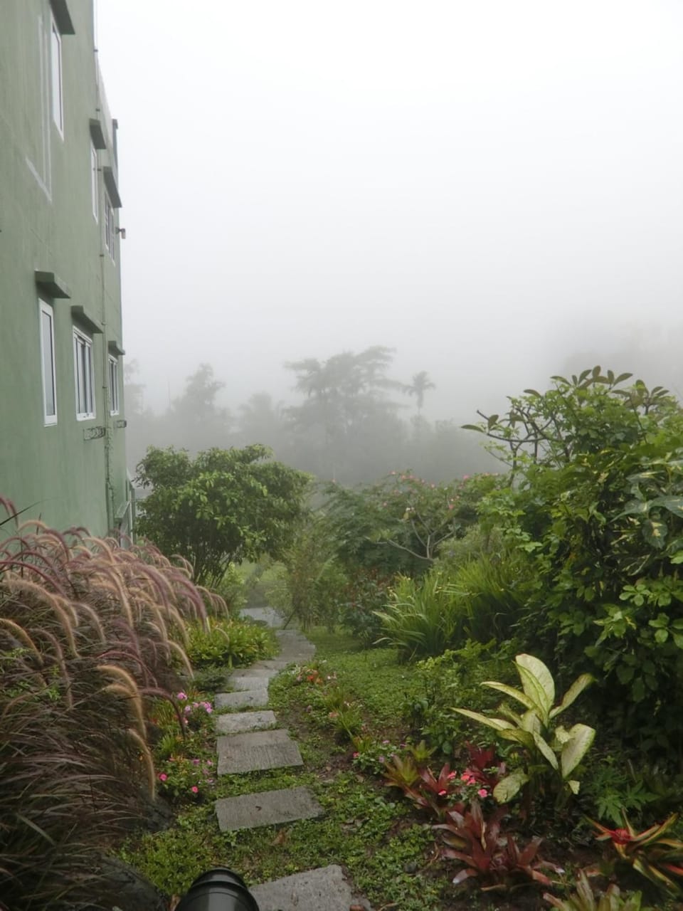 Natural landscape, Garden, Garden view