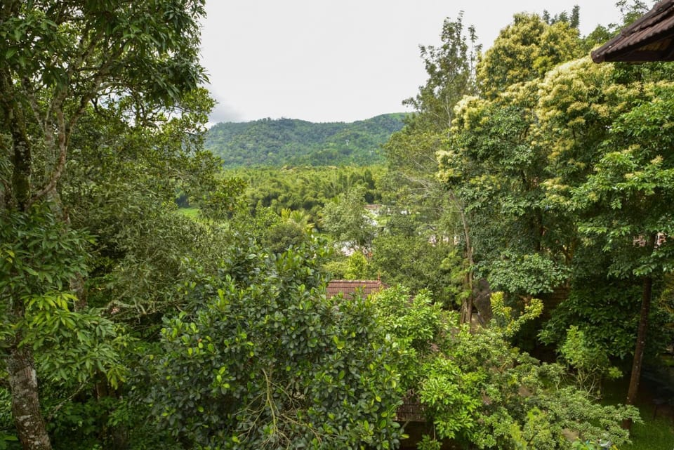 Spring, Day, Natural landscape, Garden, Garden view, Mountain view
