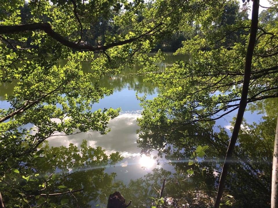 Natural landscape