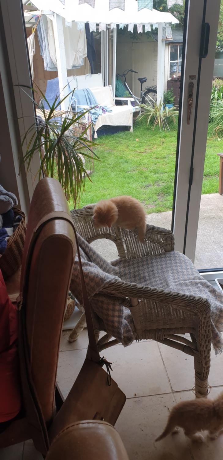 The garden room, pets, fridge Tv Vacation rental in Chester