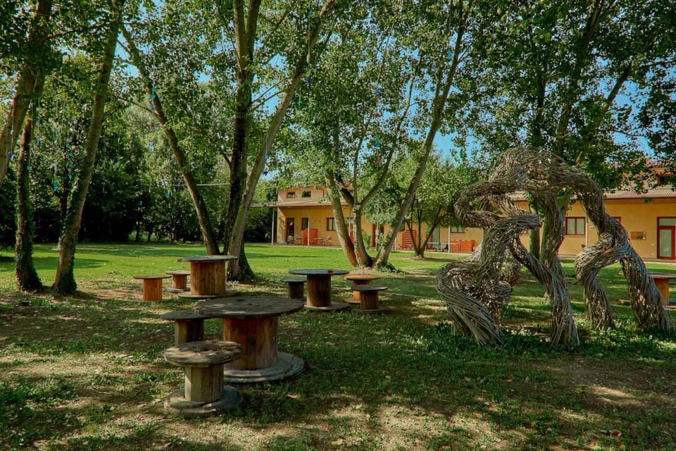 Spring, Day, Natural landscape, Garden, Garden view