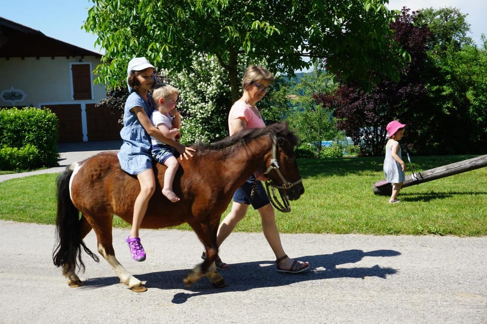 Horse-riding, Animals