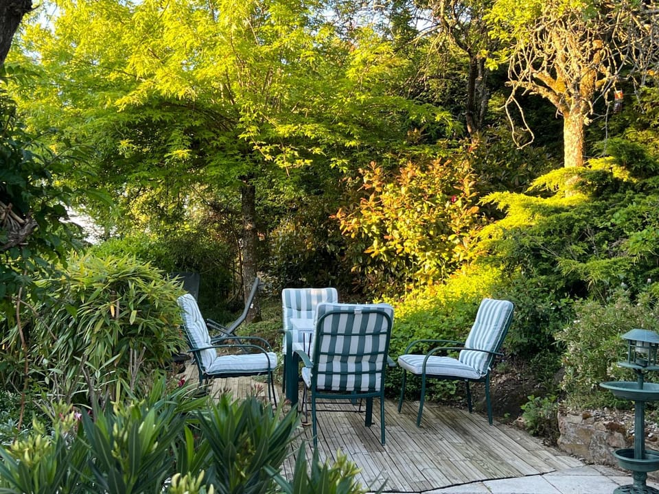 Garden, Garden view, furniture