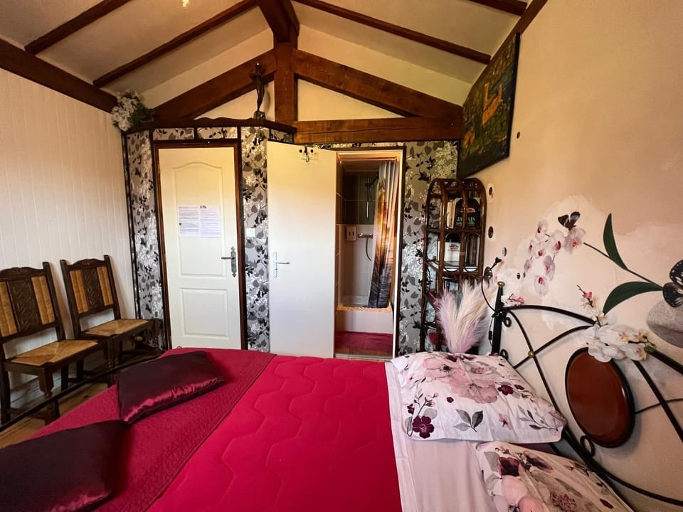 Bed, Photo of the whole room, Bedroom