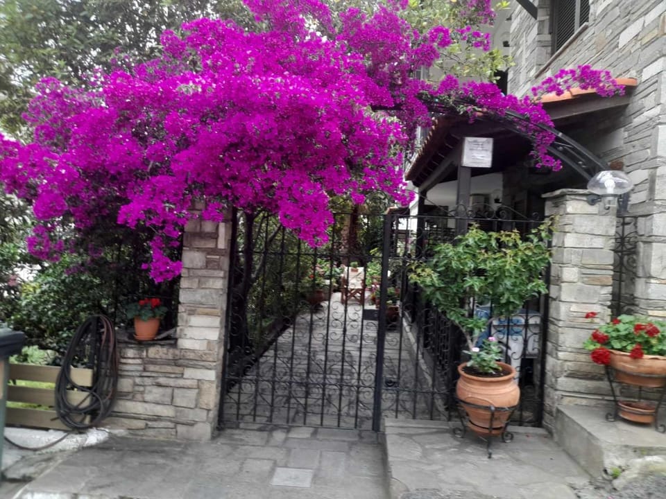 Papatzikos Traditional Guesthouse Apartment hotel in Halkidiki