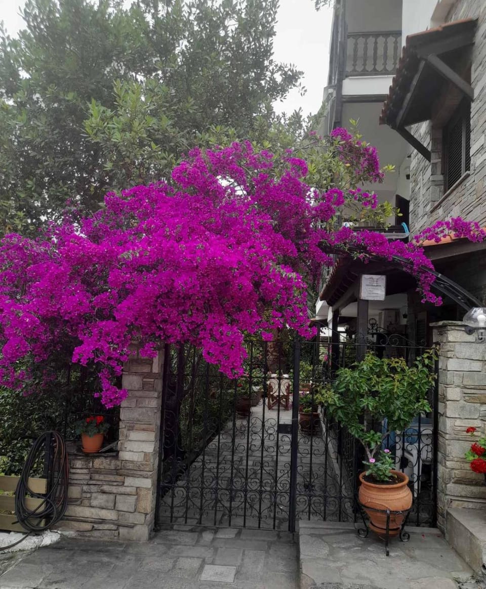 Papatzikos Traditional Guesthouse Apartment hotel in Halkidiki