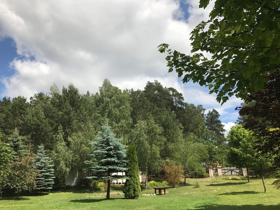 Natural landscape, Garden, Garden view