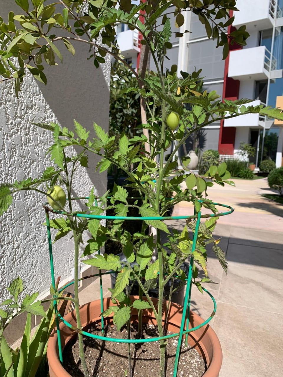 Patio, Internal: Not applicable to any particular room