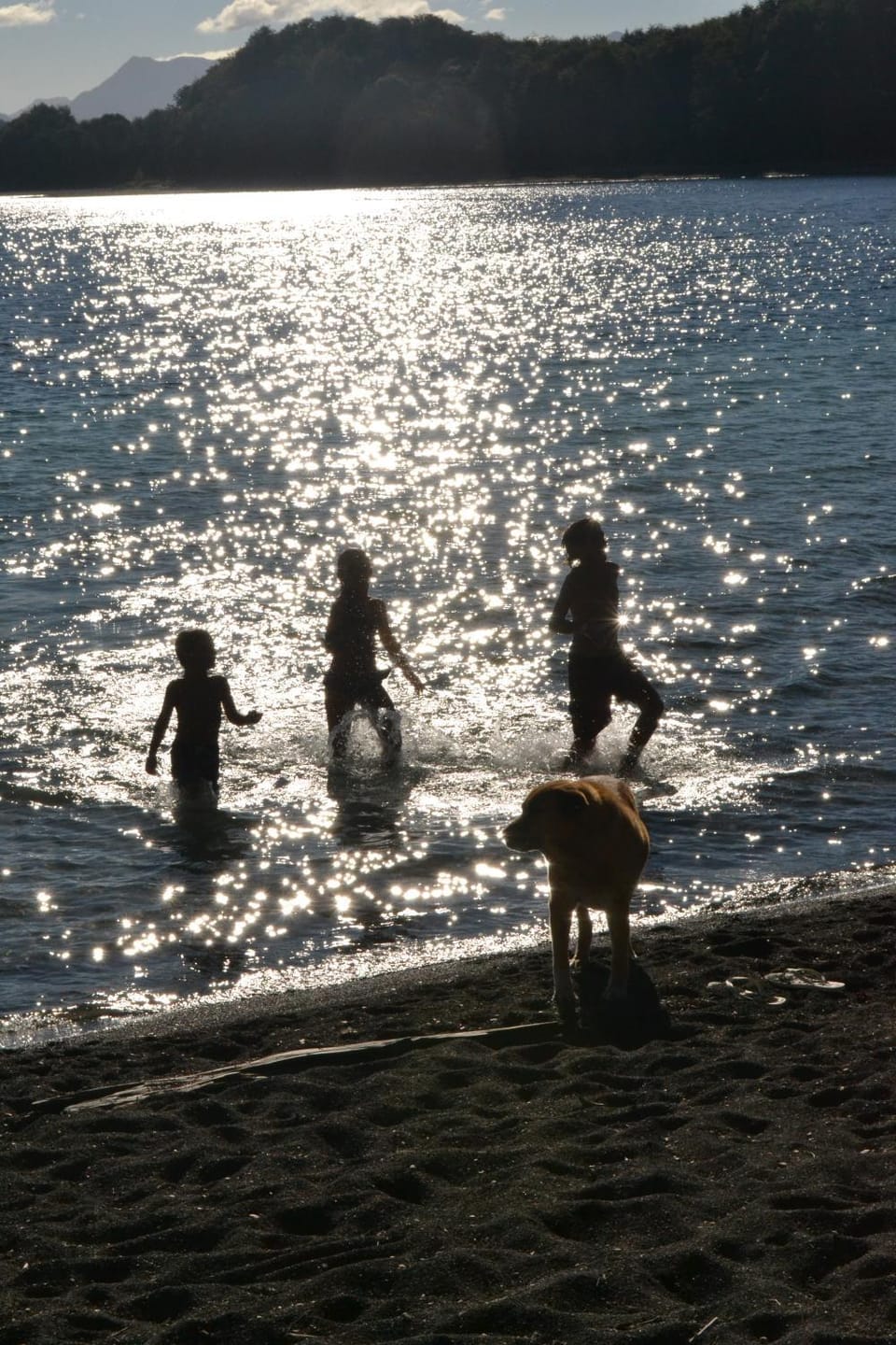Summer, Beach, Lake view, Mountain view, Family