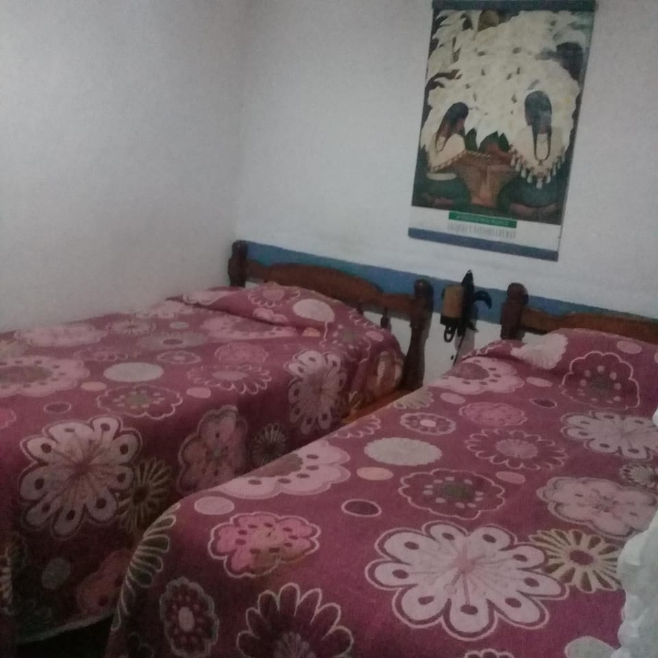 Casa de la Alameda Bed and Breakfast in State of Puebla