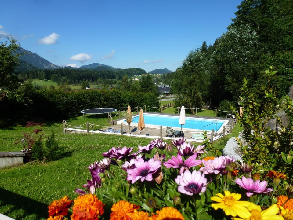 Garden, Swimming pool