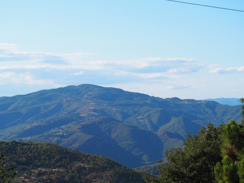 View (from property/room)