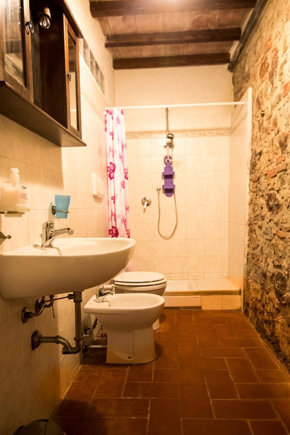 Shower, Toilet
