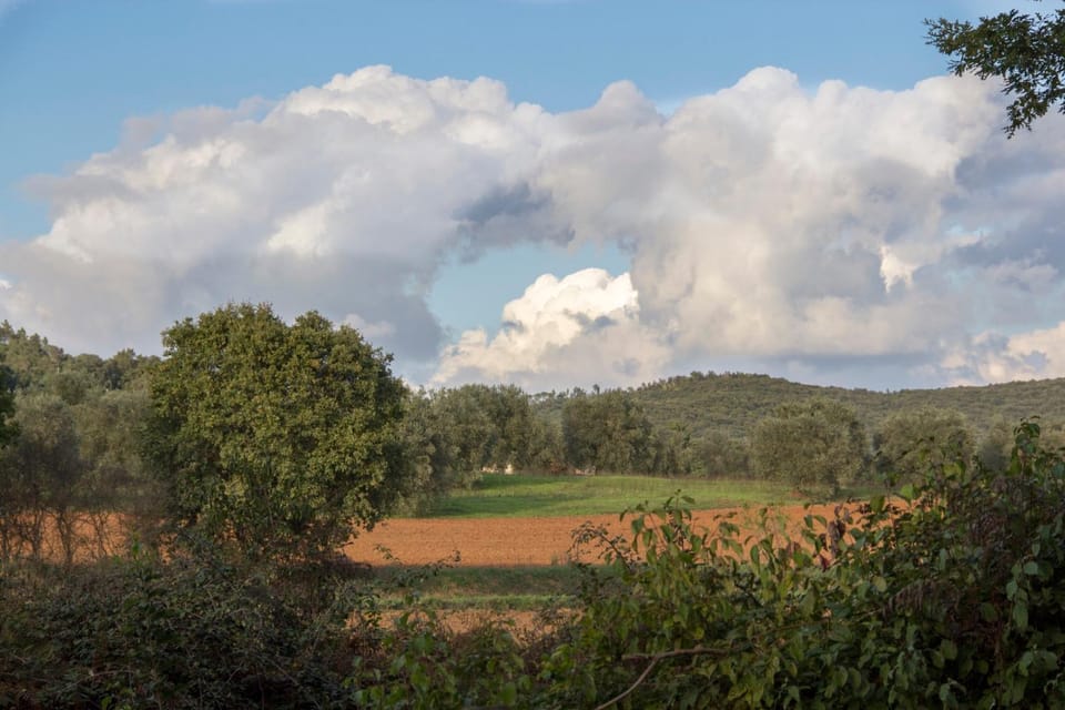 Natural landscape, Other
