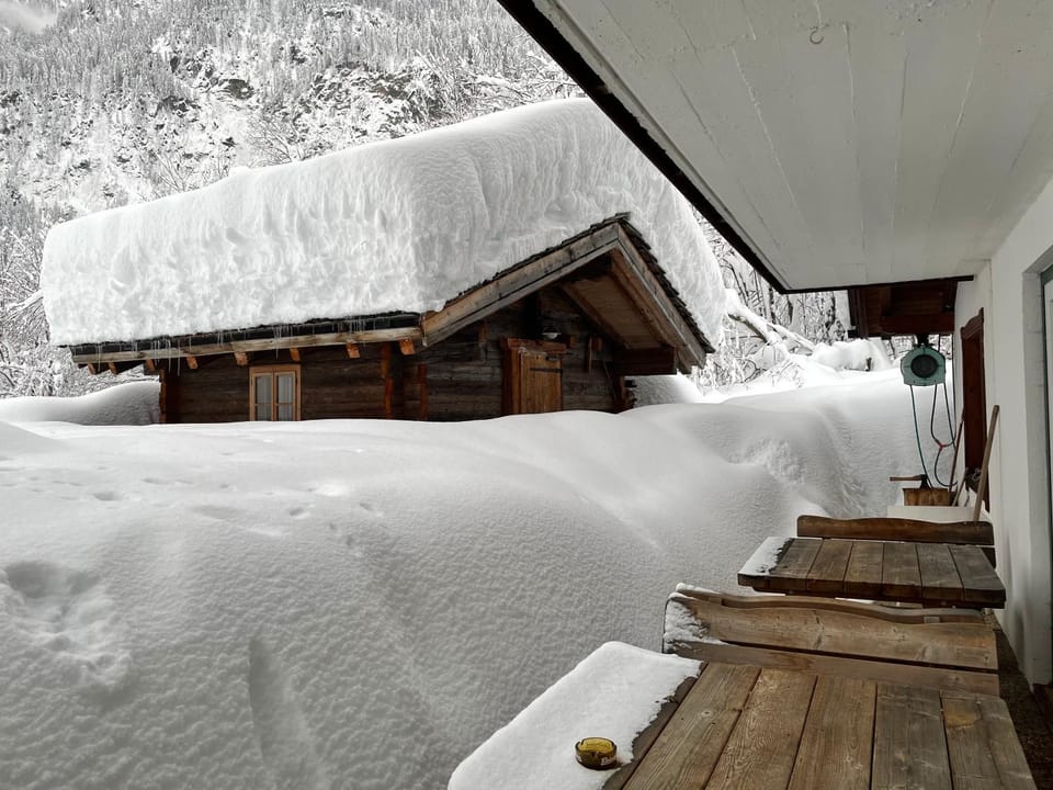 View (from property/room), Garden view