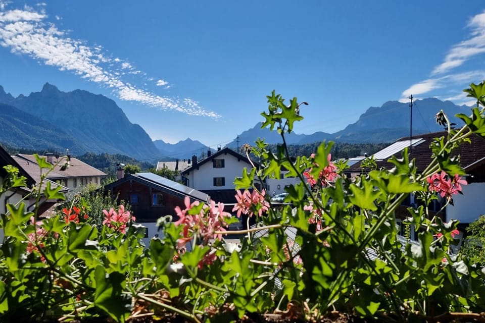 View (from property/room)