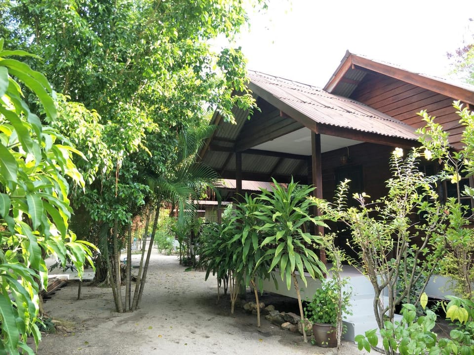 Garden view