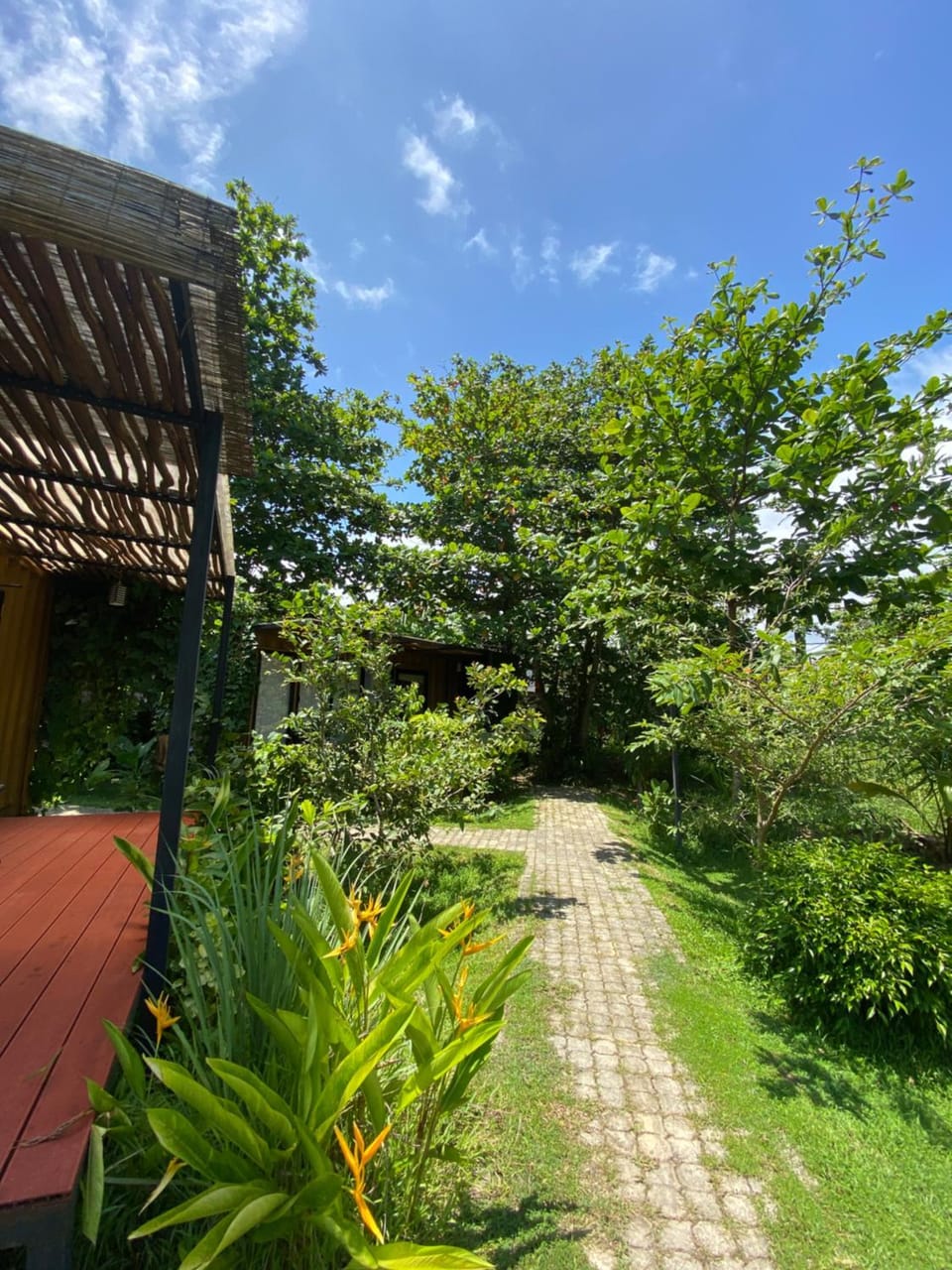 Day, Garden, Garden view
