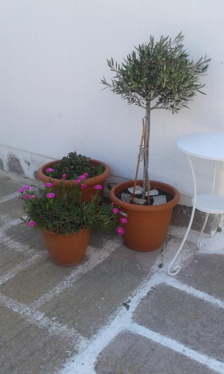 Spring, Day, Decorative detail, On site