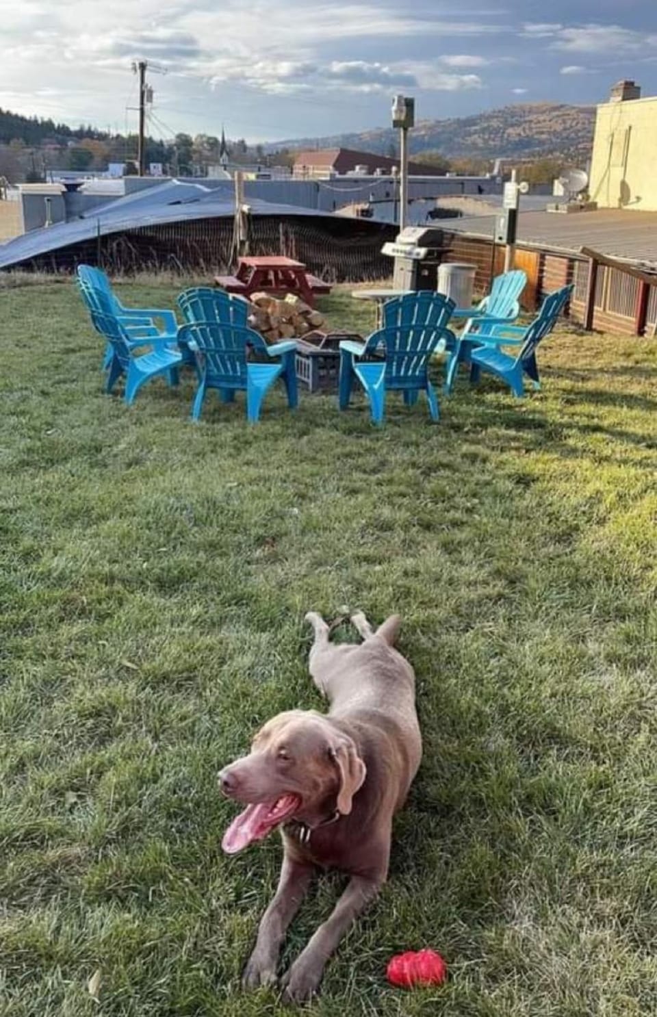 Natural landscape, Pets