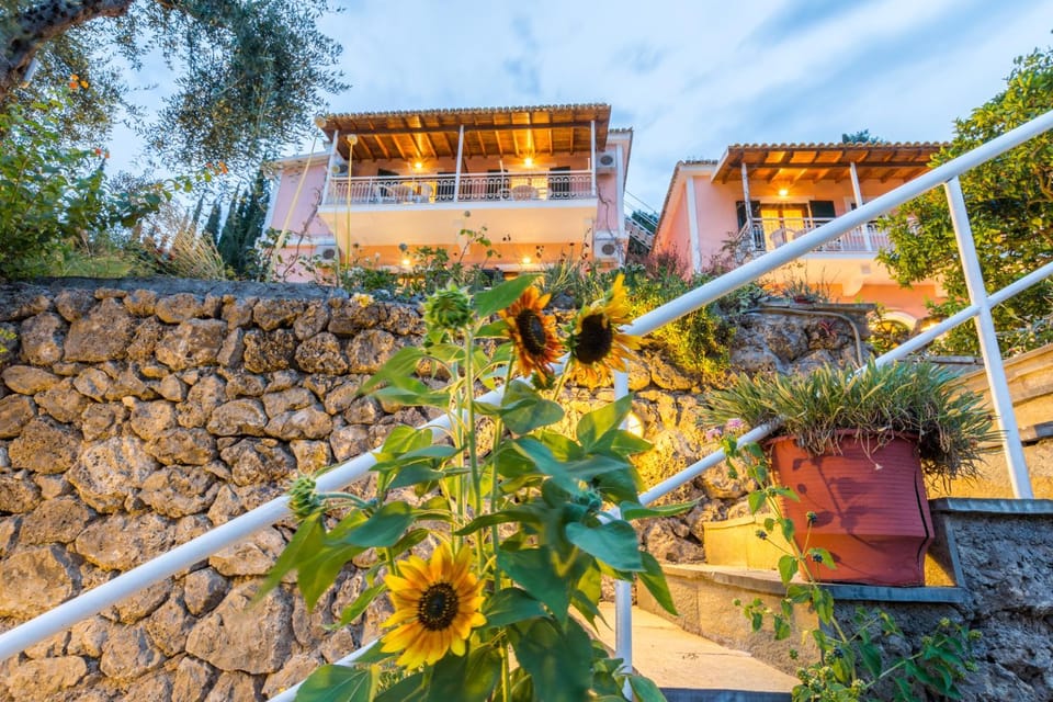 Property building, Facade/entrance, Garden