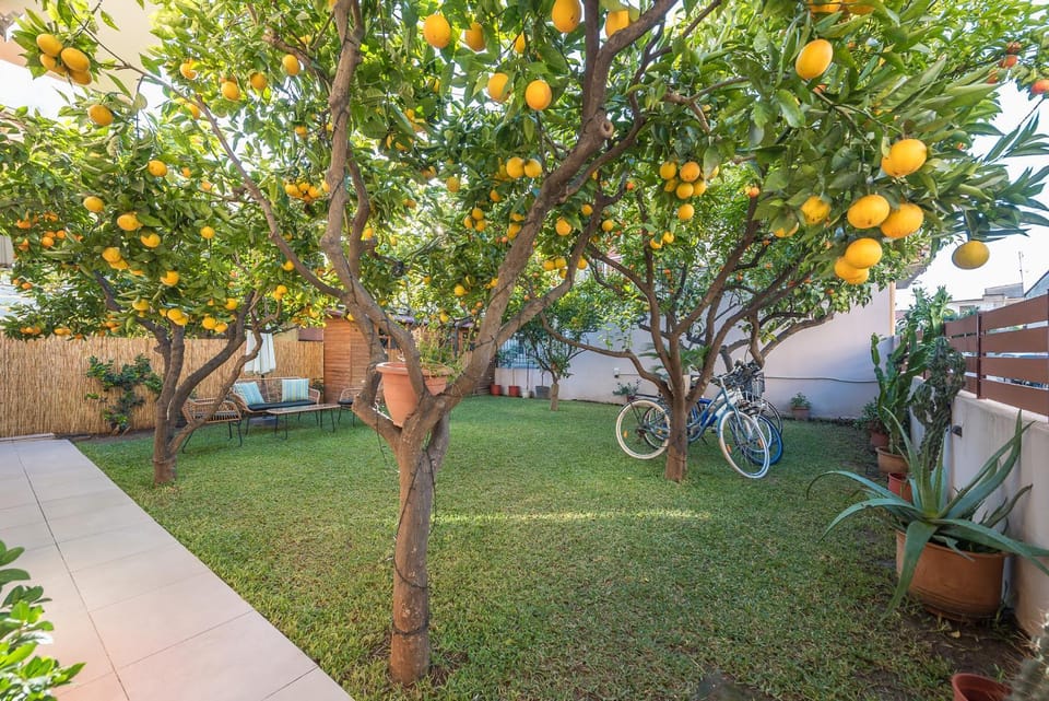 Spring, Day, Natural landscape, Garden, Garden, View (from property/room), View (from property/room), Seating area, Cycling, Garden view, Garden view