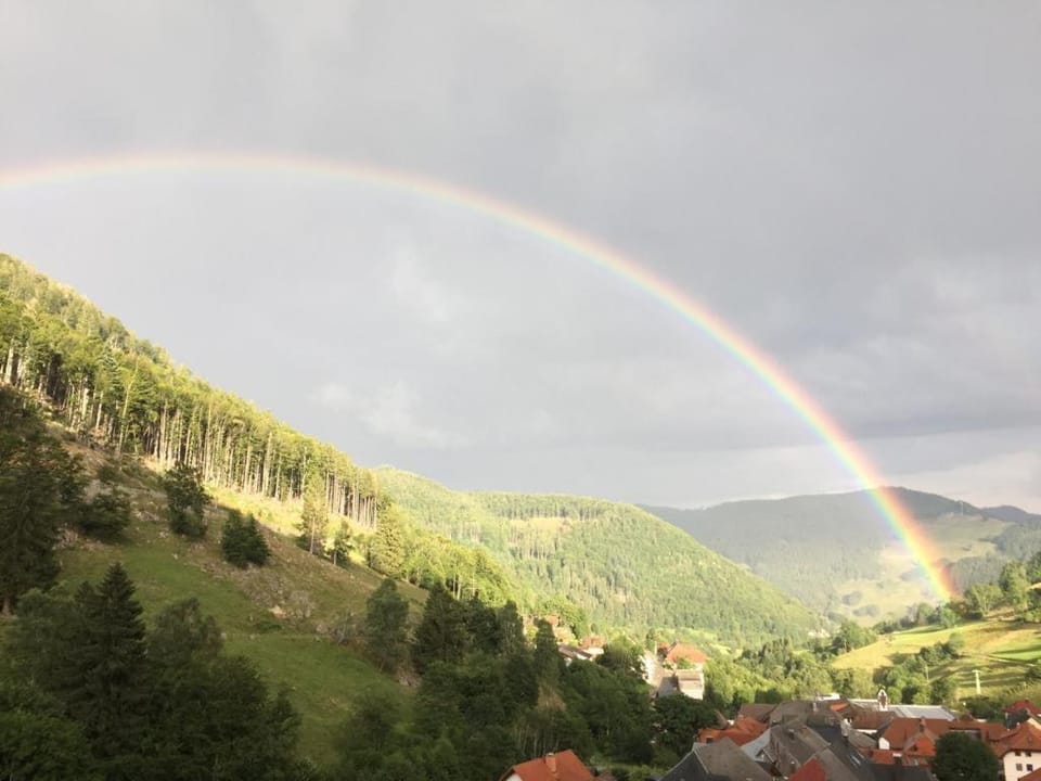 Mountain view