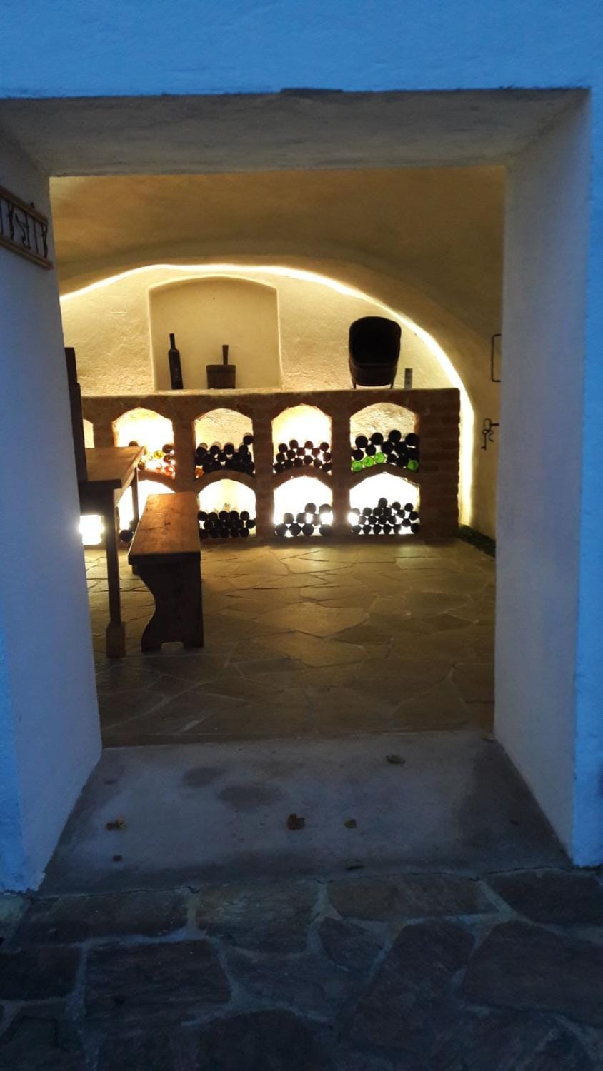 Kellerstöckl Am Weinberg 140 Gaas Apartment in Austria