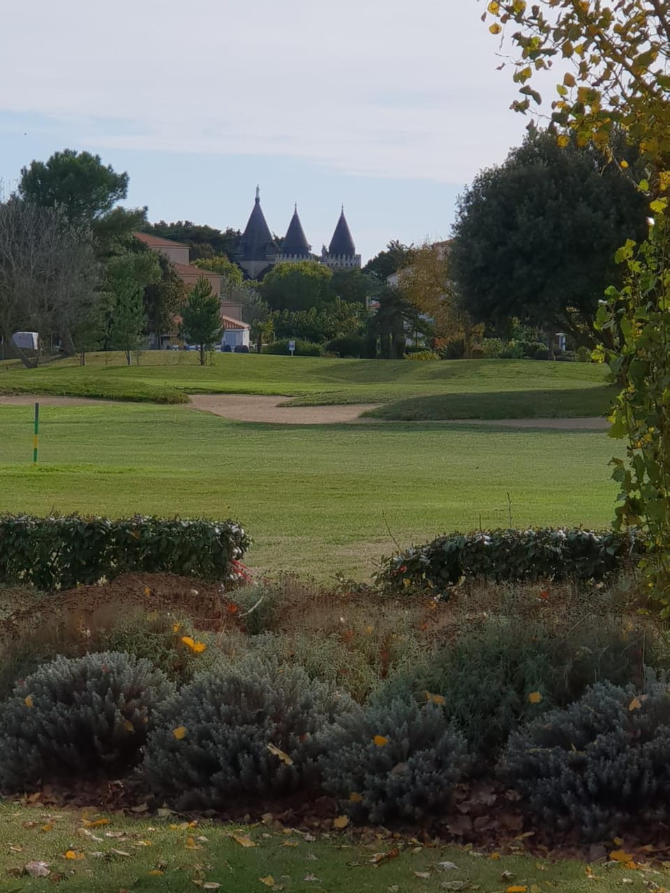 Day, Natural landscape, Garden view, Landmark view