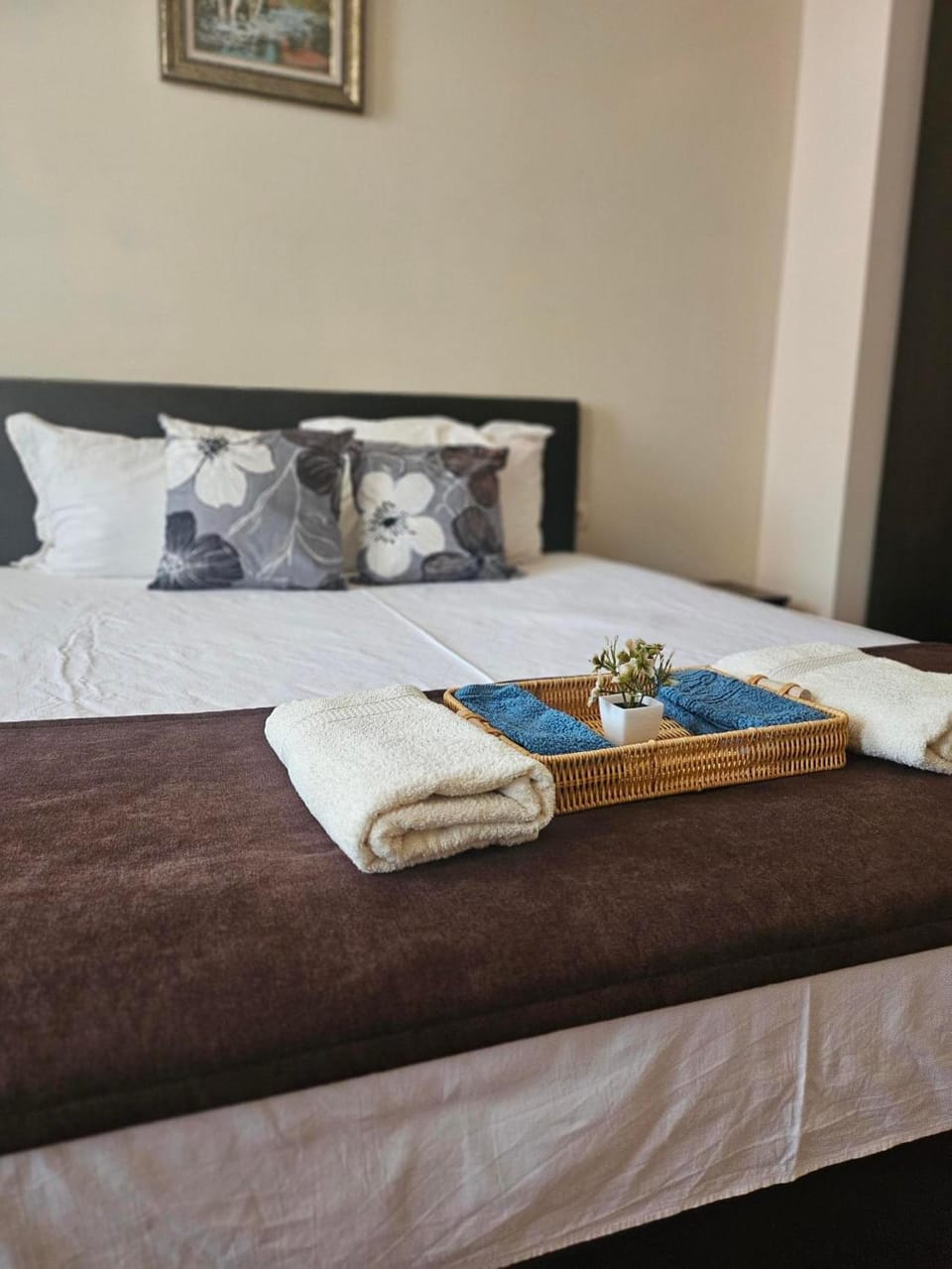 Къща за гости ДаРая Apartment in Veliko Tarnovo