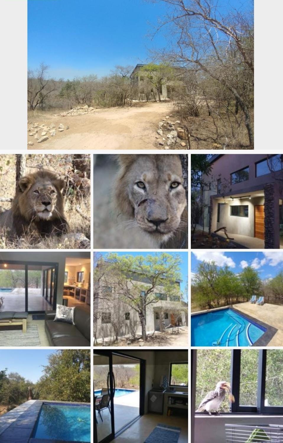 Lionsview Private Lodge - 6 Lions Villa in South Africa