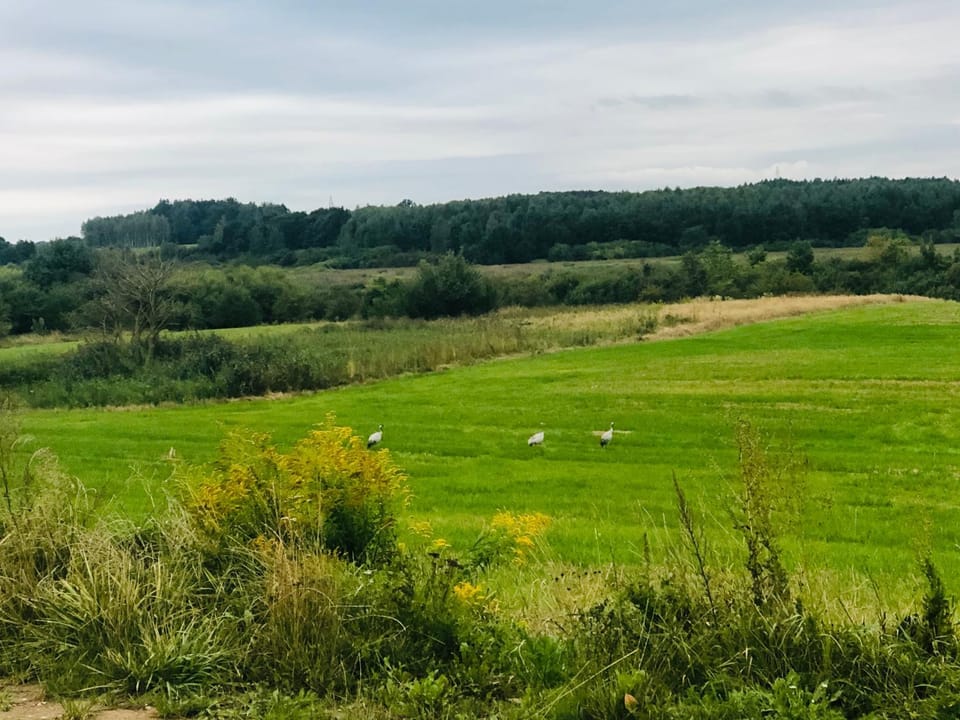 Ostoja Morąg Bed and Breakfast in Poland