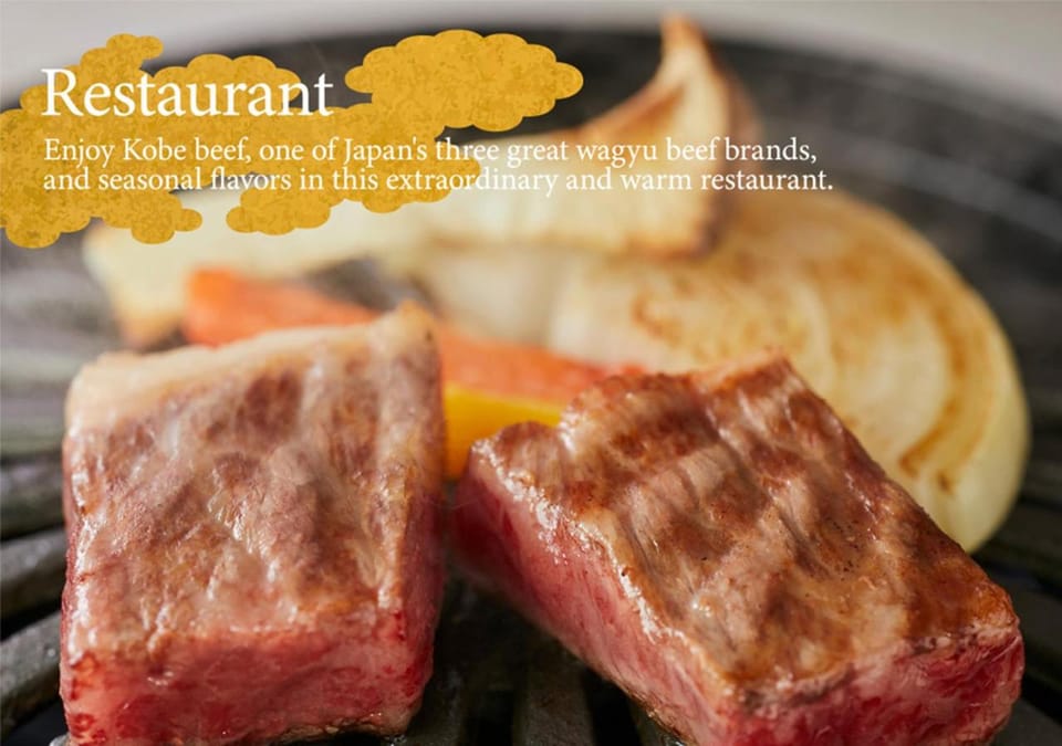 Restaurant/places to eat, Food, Dinner