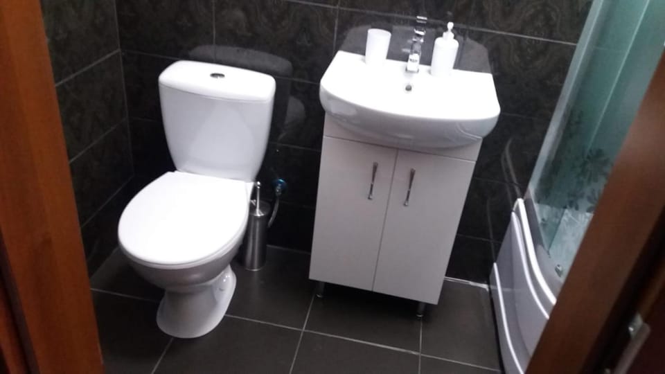 Toilet, Decorative detail, Decorative detail