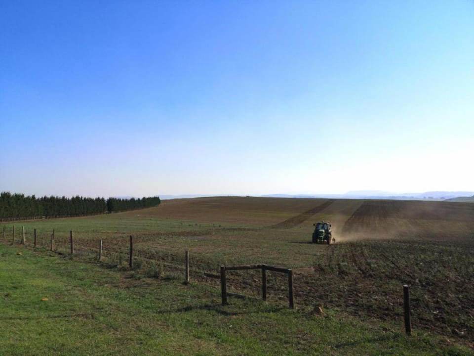 Natural landscape