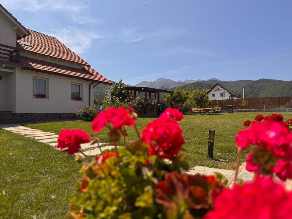Pensiunea Artemis Bed and Breakfast in Brașov County