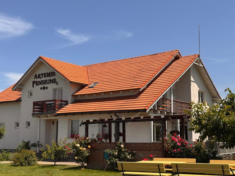 Pensiunea Artemis Bed and Breakfast in Brașov County