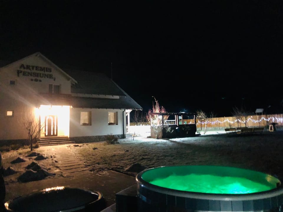 Pensiunea Artemis Bed and Breakfast in Brașov County