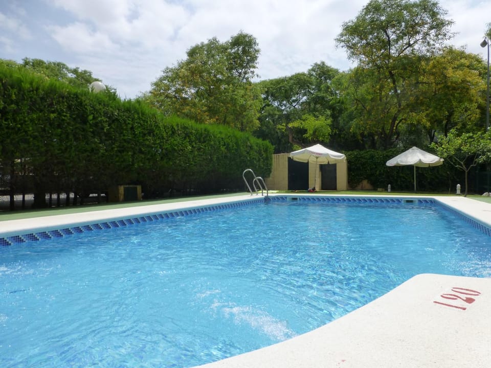 Swimming pool, Swimming pool
