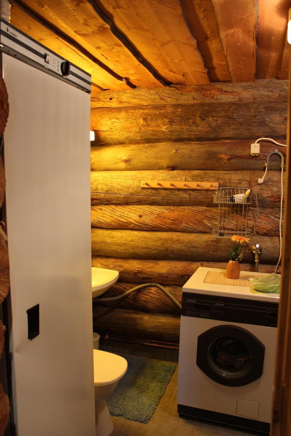 Shower, Toilet