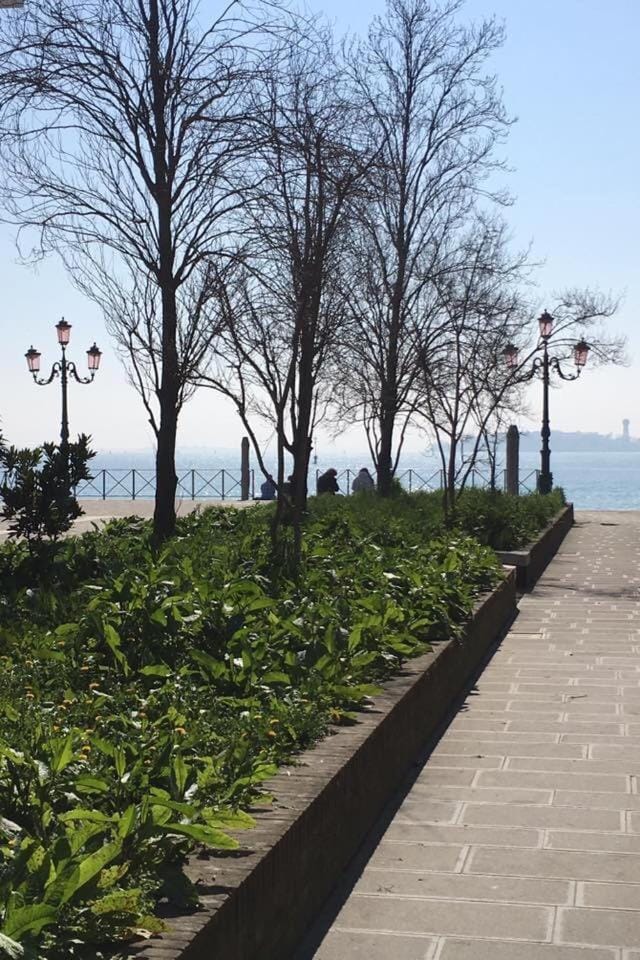 Nice & Cozy apartment Apartment in Lido di Venezia