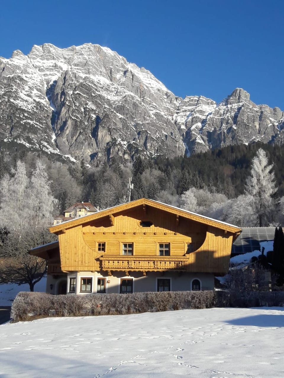 Apartment Eva Apartment in Salzburgerland