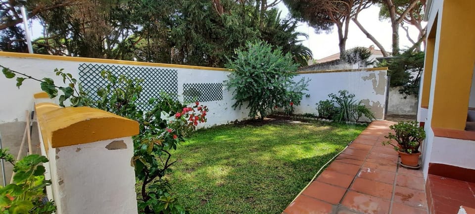 Patio, Garden, Balcony/Terrace